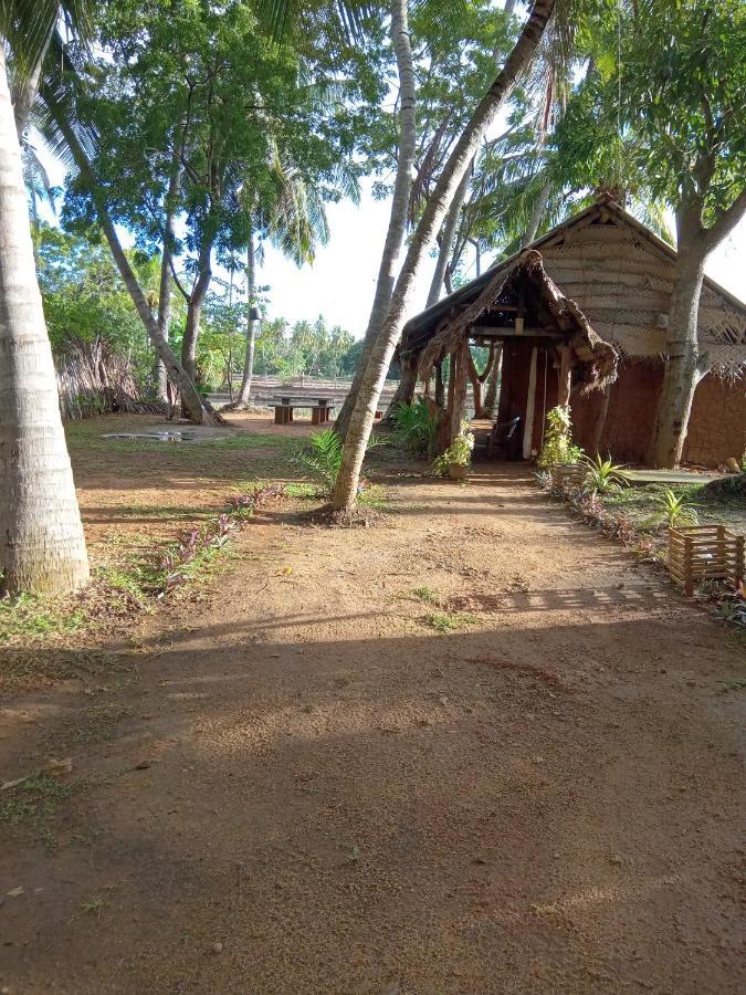Coconut Island Yala Safari Place Tissamaharama Exterior photo