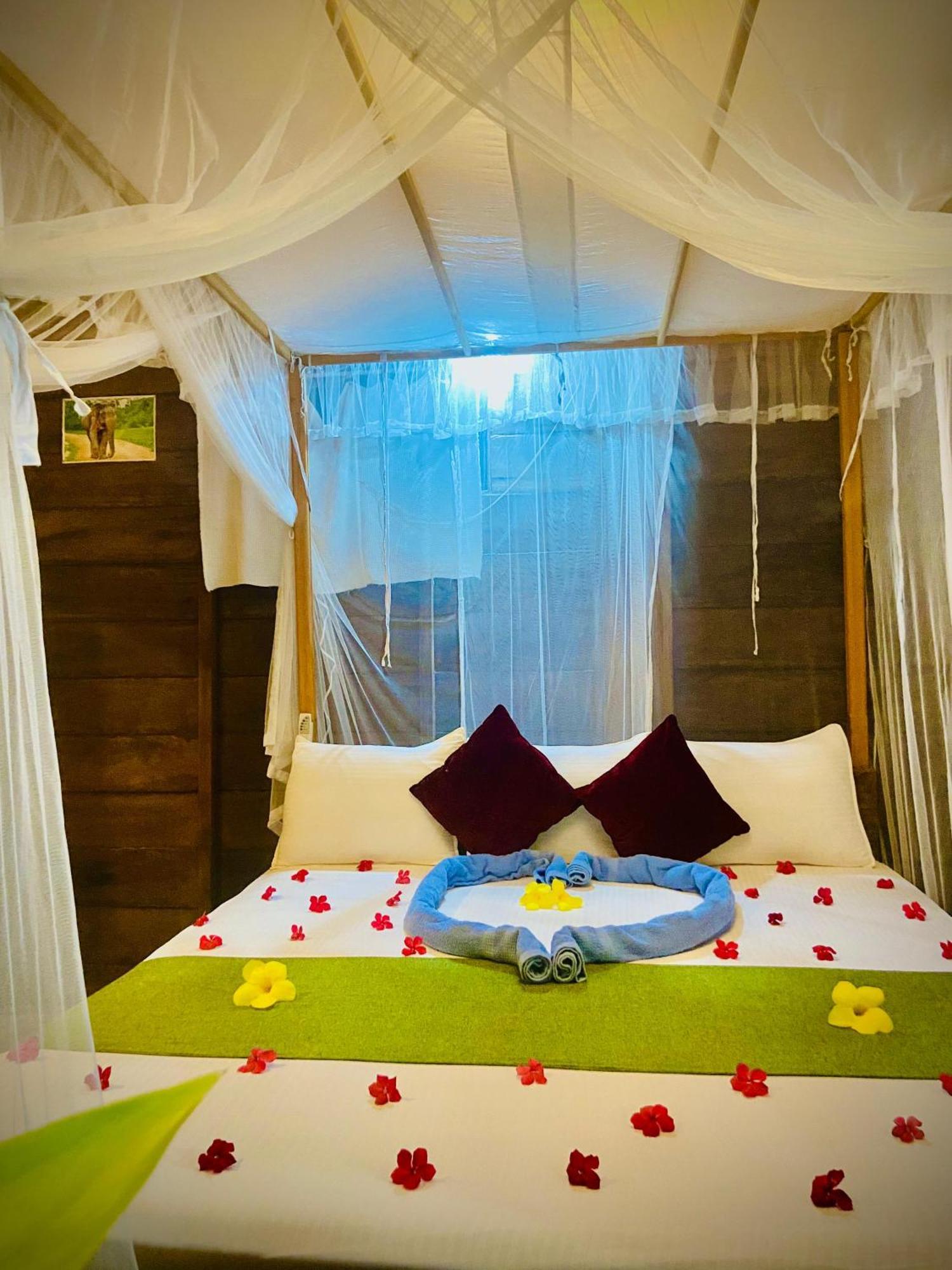 Coconut Island Yala Safari Place Tissamaharama Exterior photo