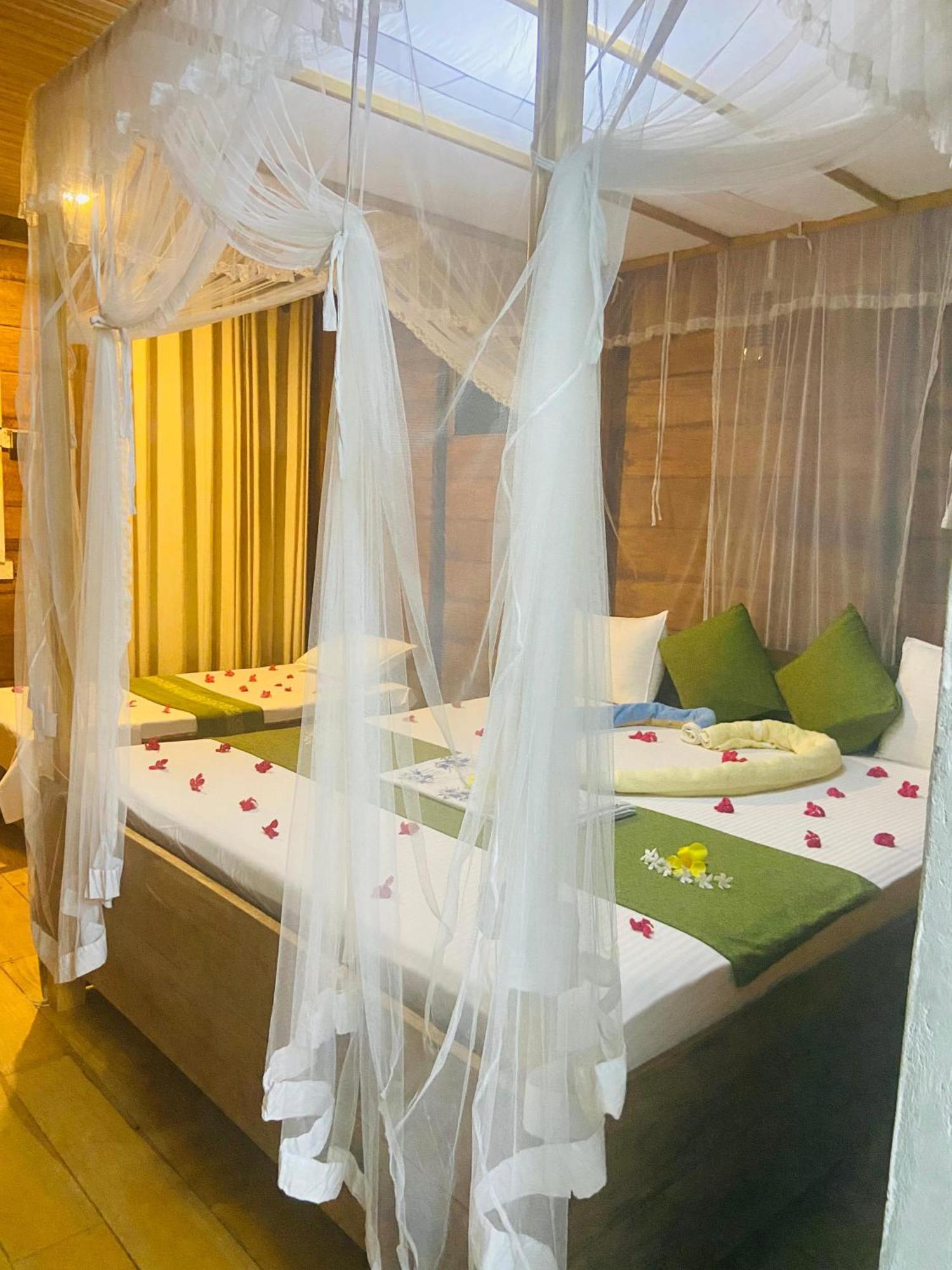 Coconut Island Yala Safari Place Tissamaharama Exterior photo