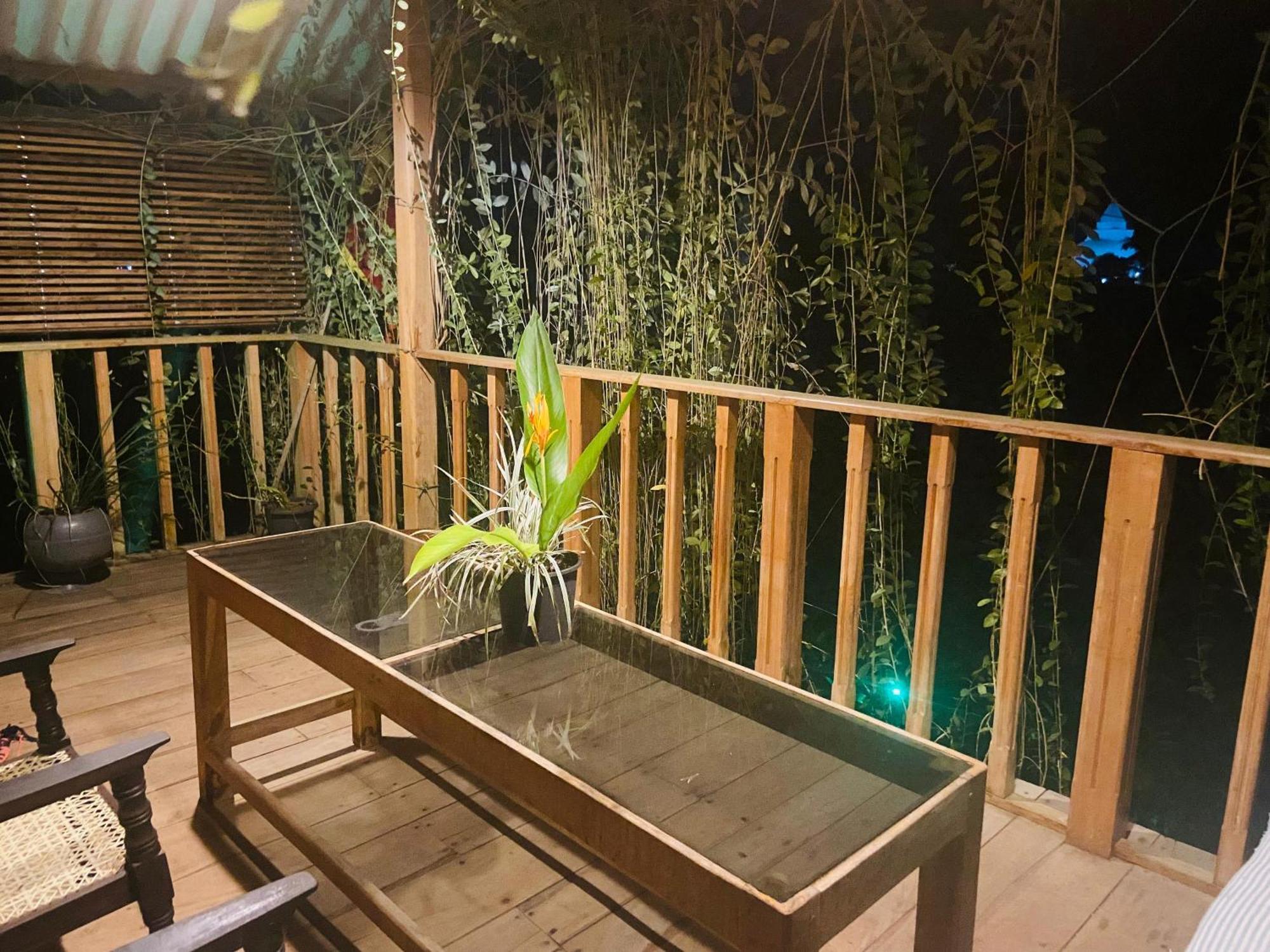 Coconut Island Yala Safari Place Tissamaharama Exterior photo