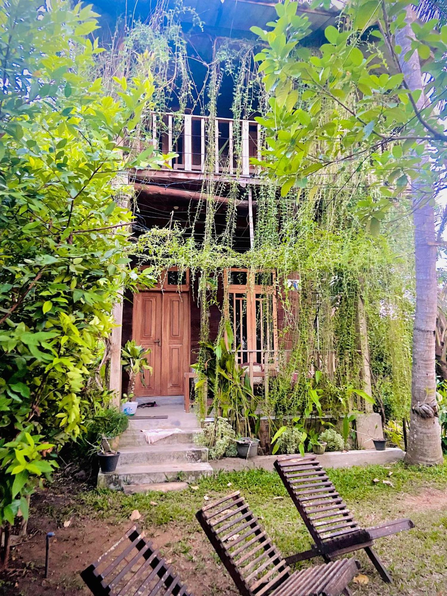 Coconut Island Yala Safari Place Tissamaharama Exterior photo
