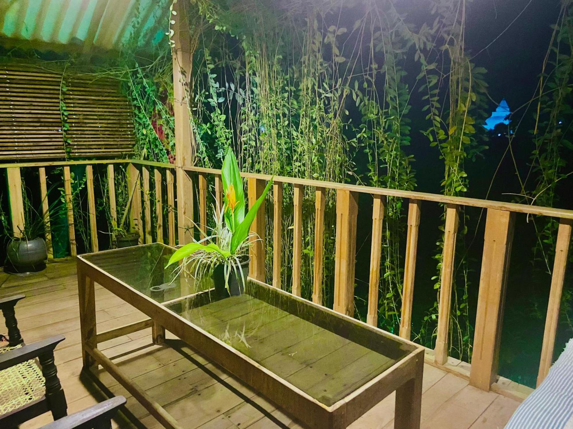 Coconut Island Yala Safari Place Tissamaharama Exterior photo