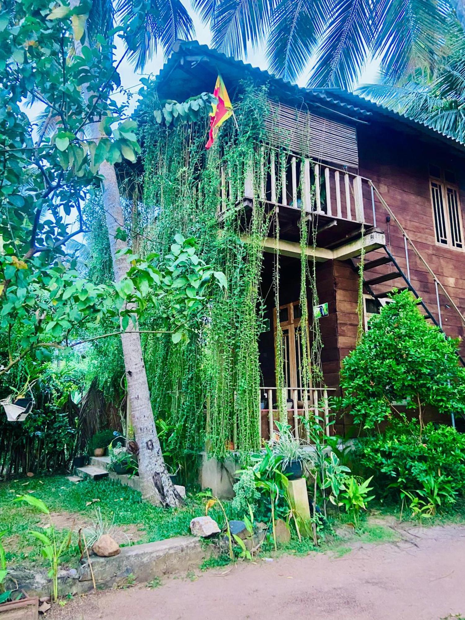 Coconut Island Yala Safari Place Tissamaharama Exterior photo